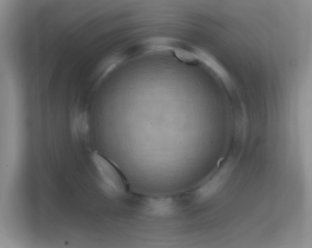 X0000114420809200910231205