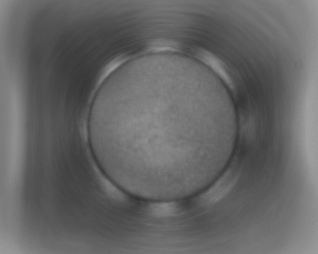 X0000114420810200910231205