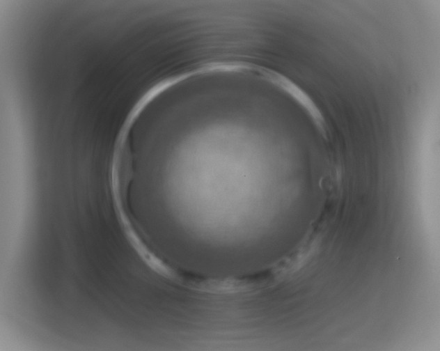 X0000114420811200910231205