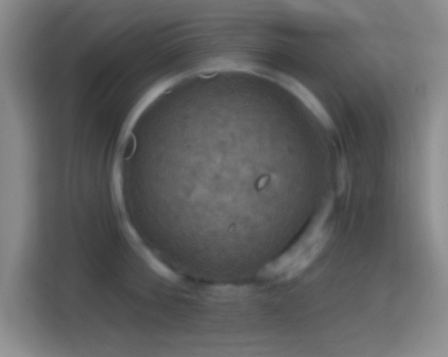 X0000114420812200910231205