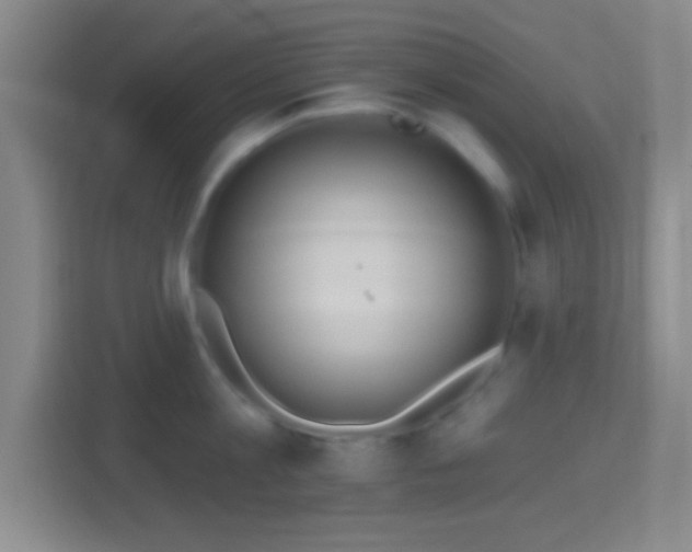 X0000114420813200910231205