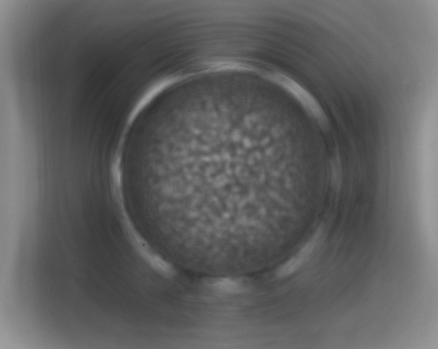 X0000114420814200910231205