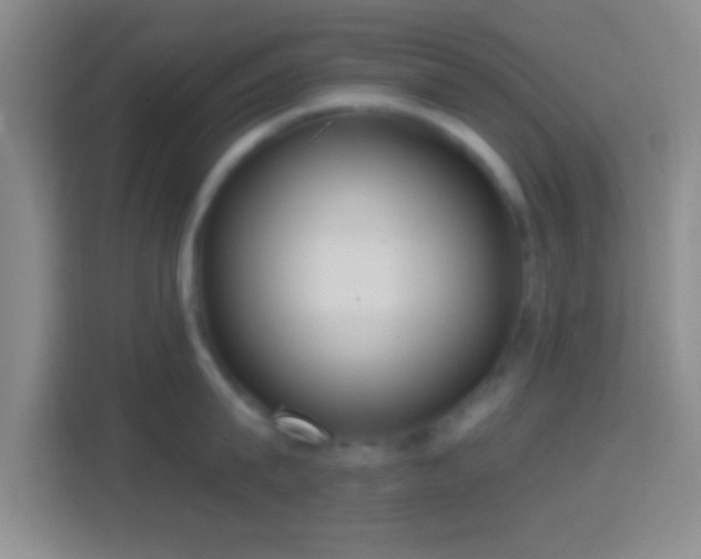 X0000114420815200910231205
