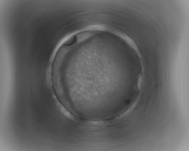 X0000114420816200910231205