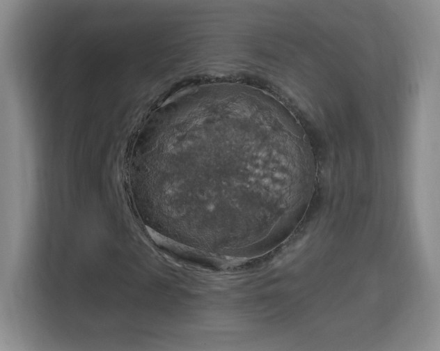 X0000114420817200910231204