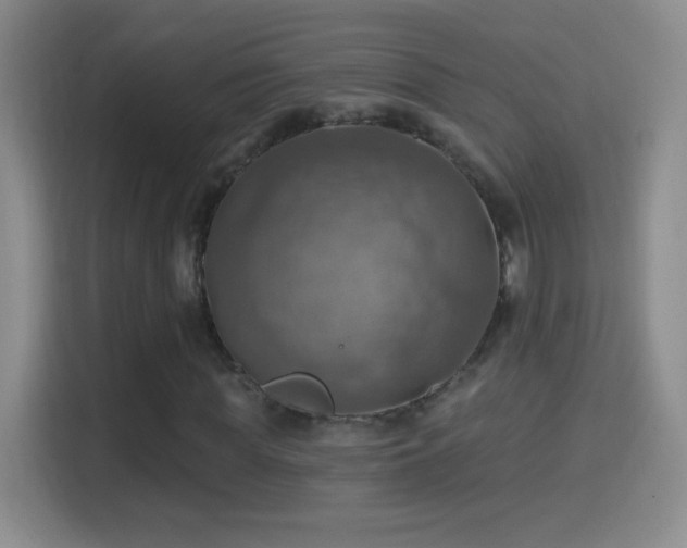 X0000114420819200910231204