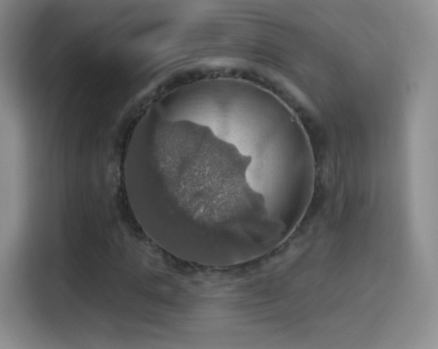 X0000114420821200910231204