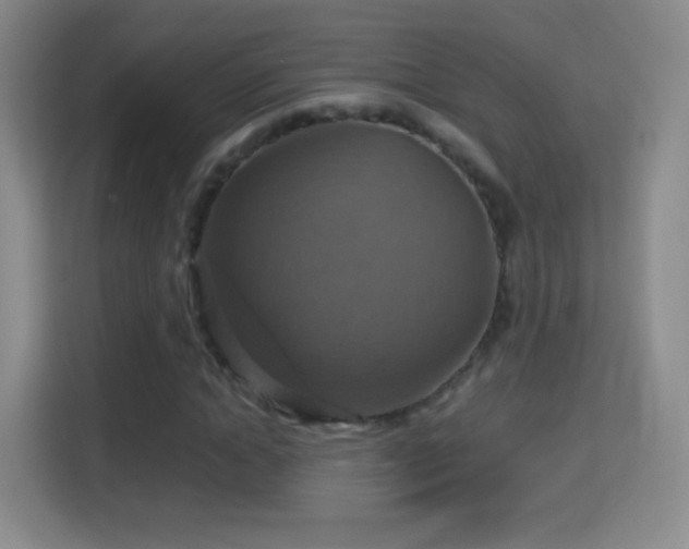 X0000114420822200910231204