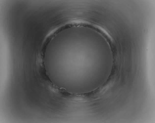 X0000114420823200910231204