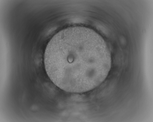 X0000114420824200910231204