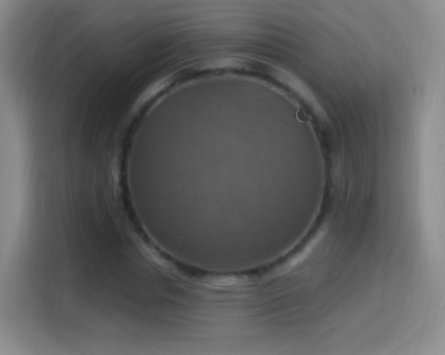 X0000114420826200910231204