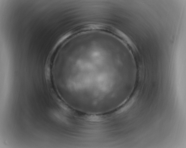 X0000114420827200910231204