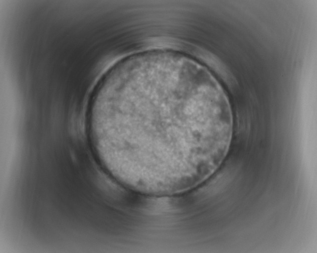 X0000114420828200910231204