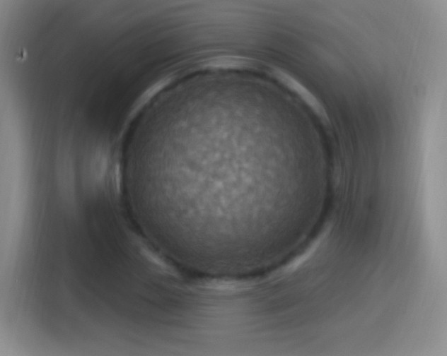 X0000114420829200910231204