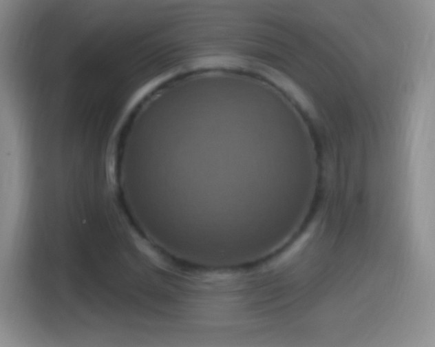 X0000114420830200910231204