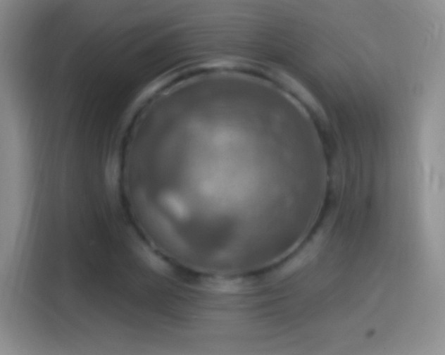 X0000114420831200910231204