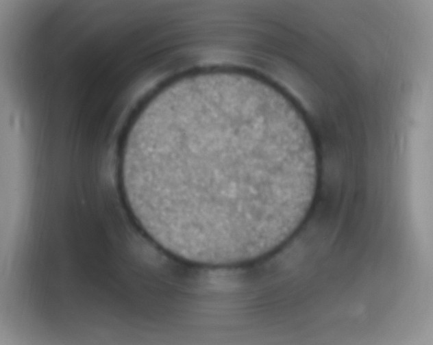X0000114420832200910231204