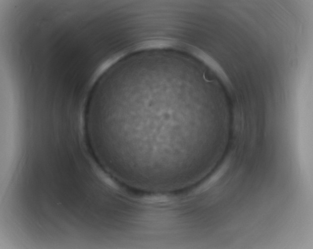 X0000114420834200910231204