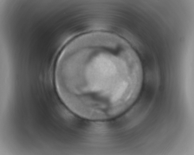 X0000114420836200910231204