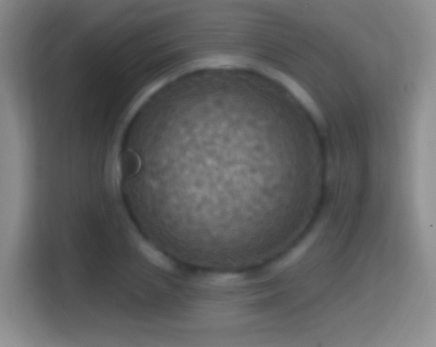 X0000114420837200910231204