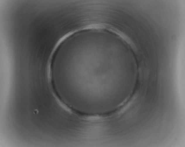 X0000114420838200910231204