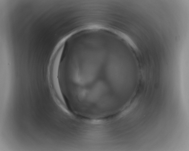 X0000114420839200910231204