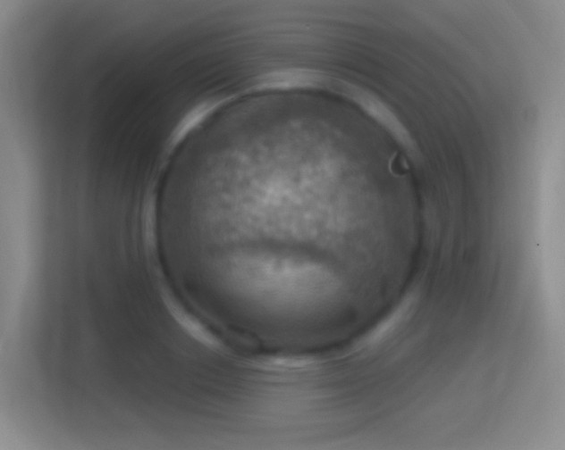 X0000114420842200910231205