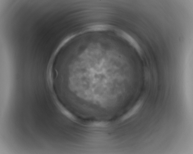 X0000114420843200910231205