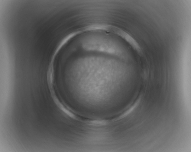 X0000114420844200910231205