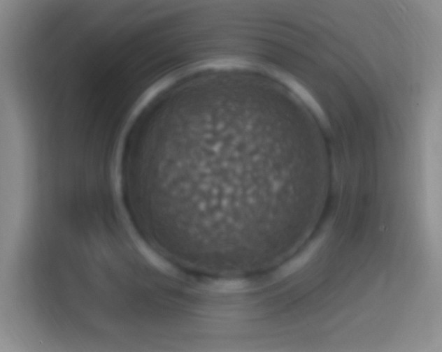 X0000114420845200910231205