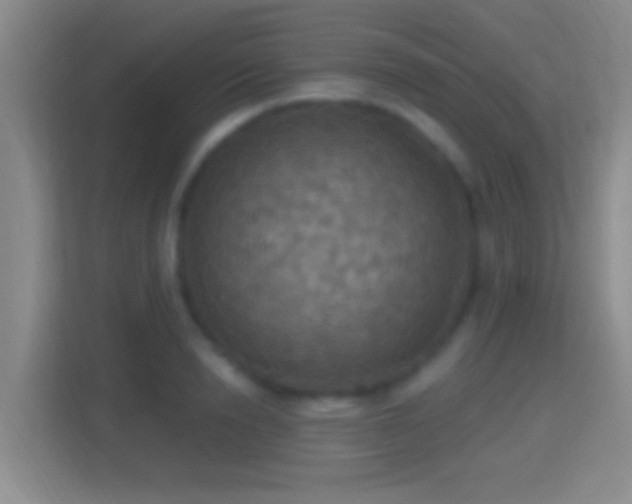 X0000114420846200910231205