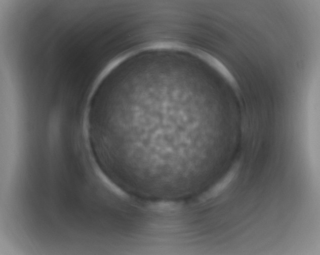 X0000114420847200910231205