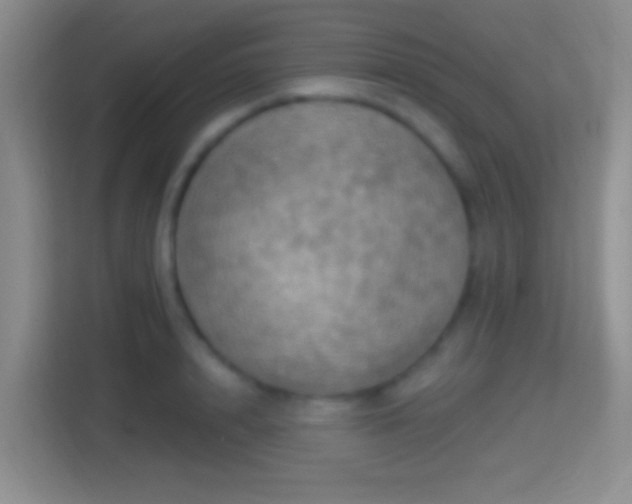 X0000114420848200910231205
