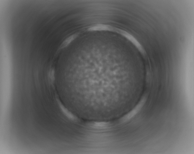 X0000114420849200910231205
