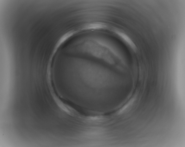X0000114420850200910231205