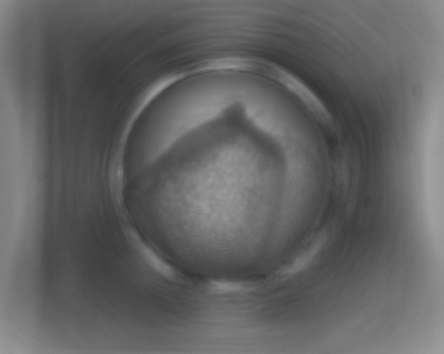X0000114420852200910231205