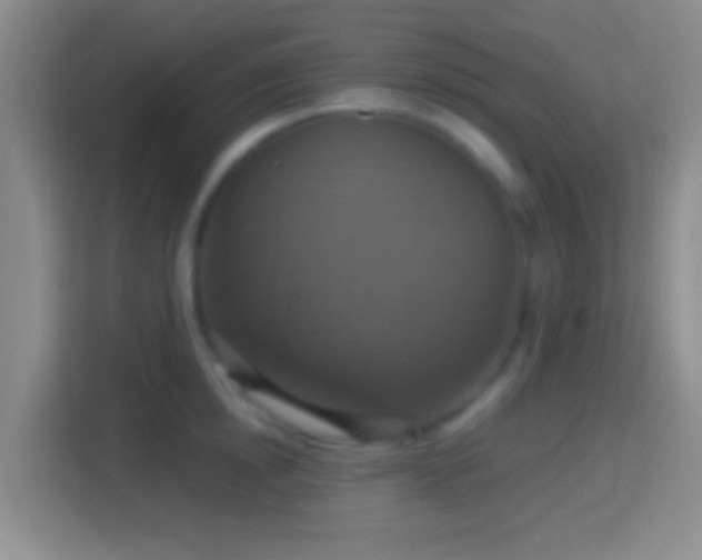 X0000114420854200910231205
