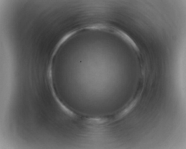 X0000114420855200910231205