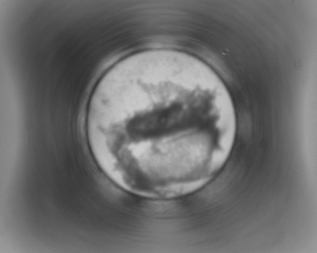 X0000114420856200910231205