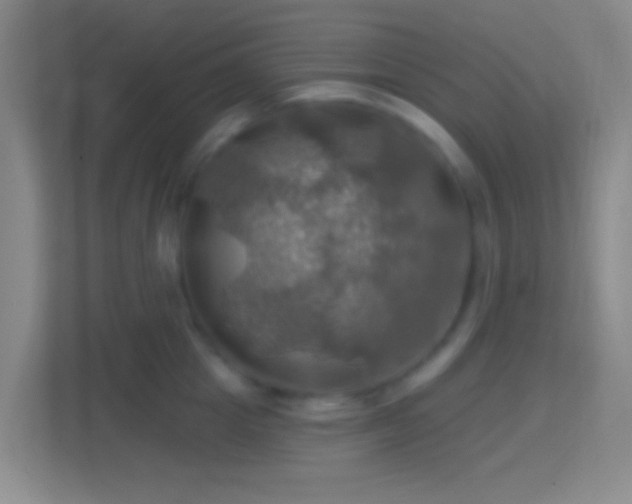 X0000114420857200910231205