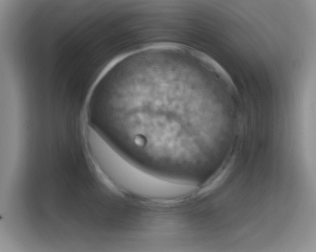 X0000114420860200910231205