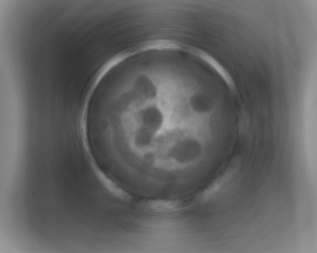 X0000114420861200910231205