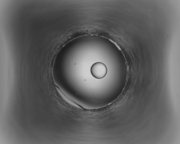 X0000114420865200910231204
