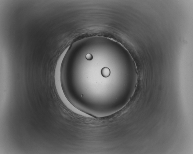 X0000114420868200910231204