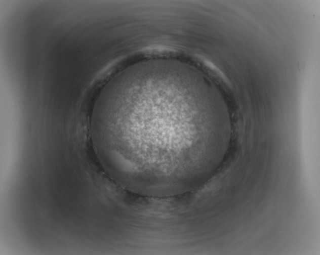 X0000114420870200910231204