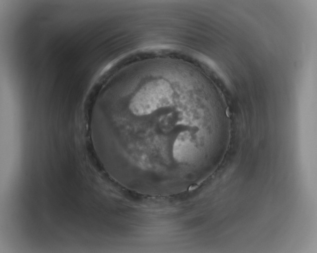 X0000114420871200910231204