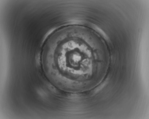 X0000114420875200910231204