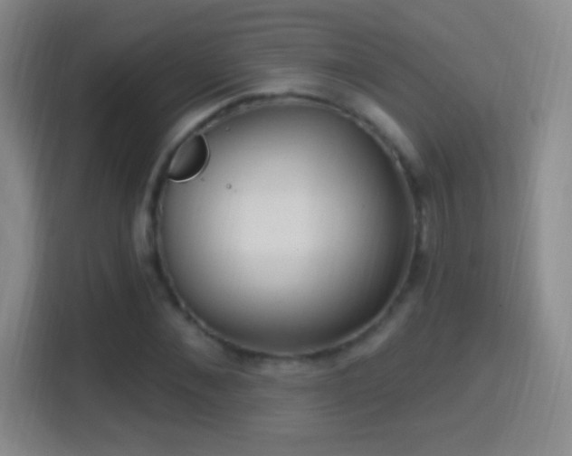 X0000114420876200910231204