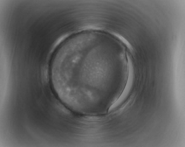 X0000114420878200910231204