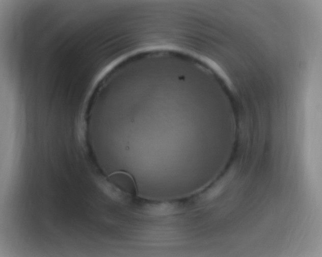 X0000114420879200910231204